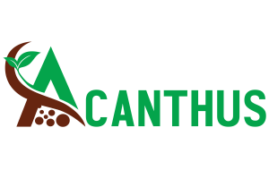 acanthus-logo